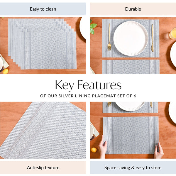 Silver Lining Placemat Set Of 6