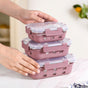 Sleevo Glass Lunch Box For Office With Silicone Sleeves Set Of 3 Mauve