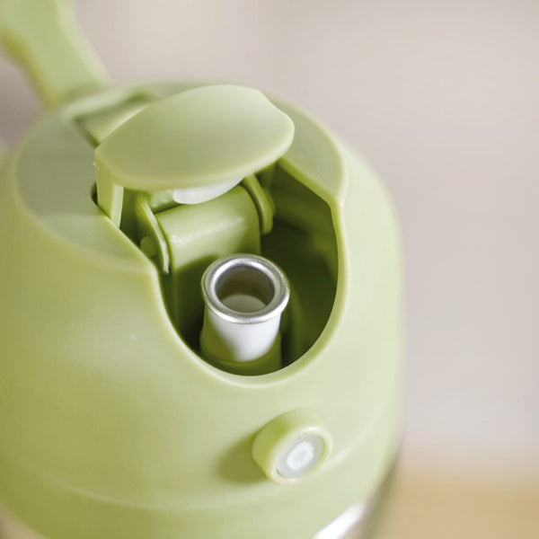 Spray And Pour Oil Dispenser Bottle Green 470ml