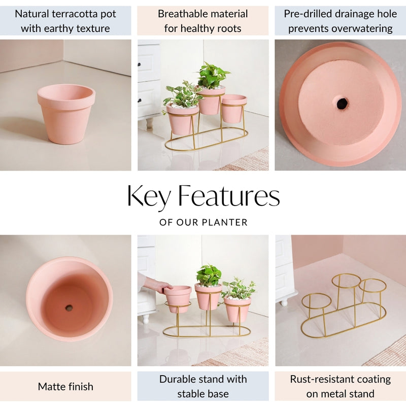 Three In One Planter Set With Stand