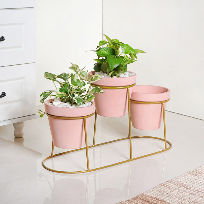 Three In One Planter Set With Stand