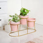 Three In One Planter Set With Stand