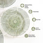 Tinted Glass Dinner Plate Set Of 6 Olive Green 25cm