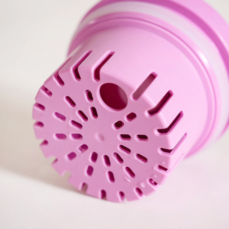 Transparent Water Bottle With Detachable Fruit Infuser 1300ml