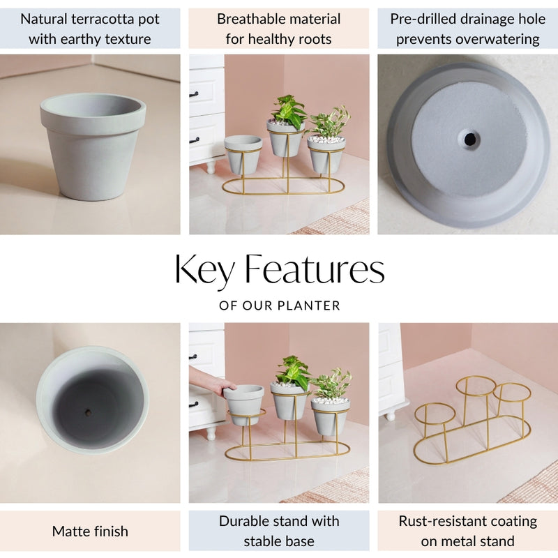 Triple Indoor Planter With Stand