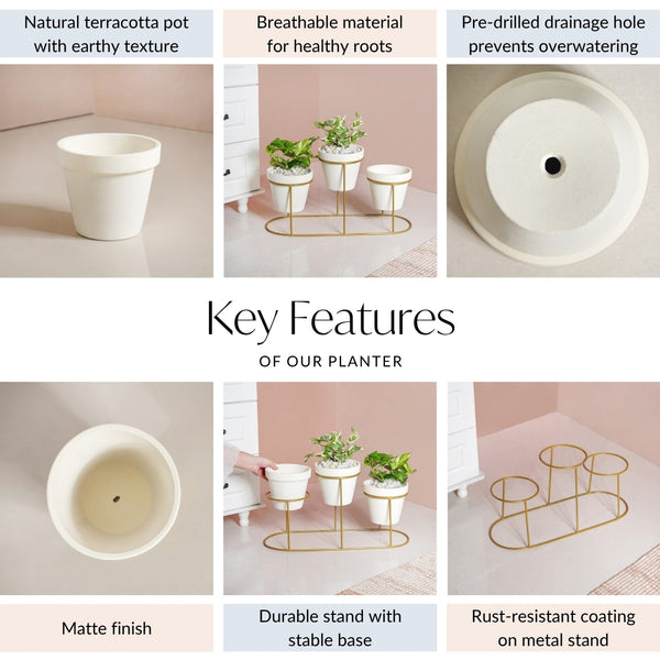 TerraTier Gold Stand With Three White Planters Off White