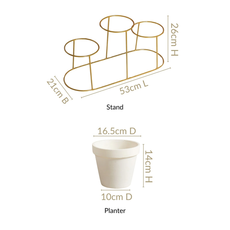 Triple Tier Plant Holders With Gold Stand