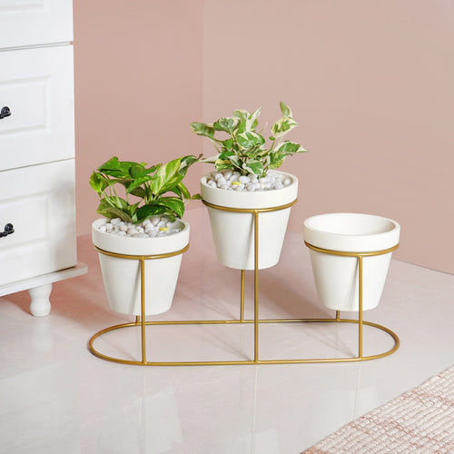 Triple Tier Plant Holders With Gold Stand