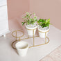 Triple Tier Plant Holders With Gold Stand