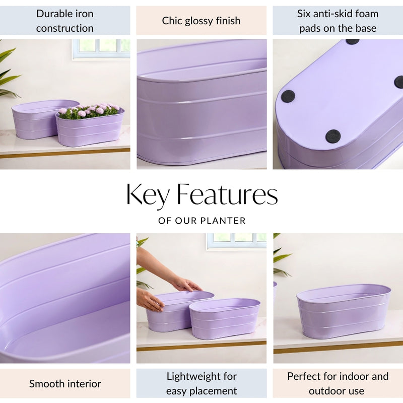 Trough Lined Lavender Oval Plant Holder Set Of 2