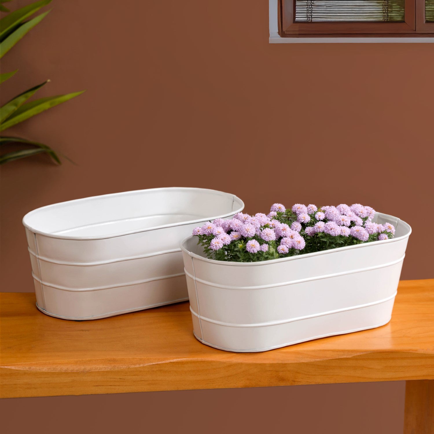 Trough Lined Minimalist Oval Plant Holder Set Of 2 Ivory