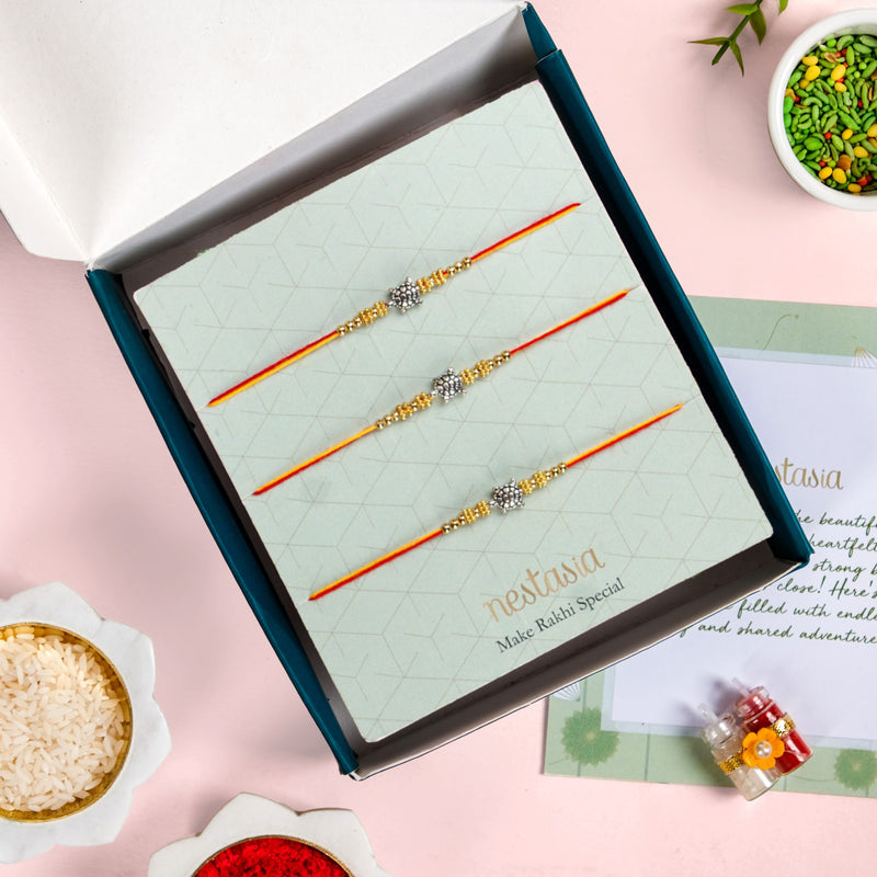 Turtle Auspicious Rakhi Hamper