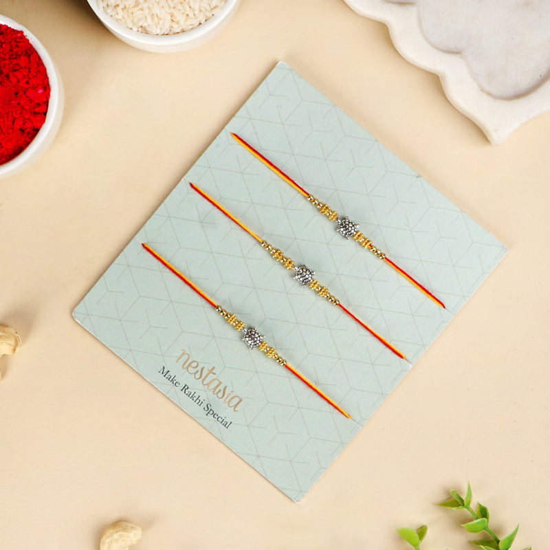 Turtle Ties Trio Rakhi Hamper