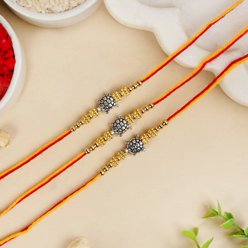 Turtle Ties Trio Rakhi Hamper