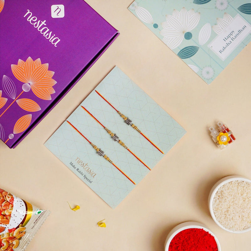 Turtle Ties Trio Rakhi Hamper