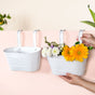 Urban Bloom Hanging Railing Planter Ivory Set Of 2