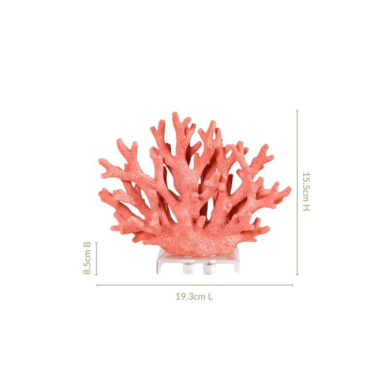 Vibrant Coral Coffee Table Decor
