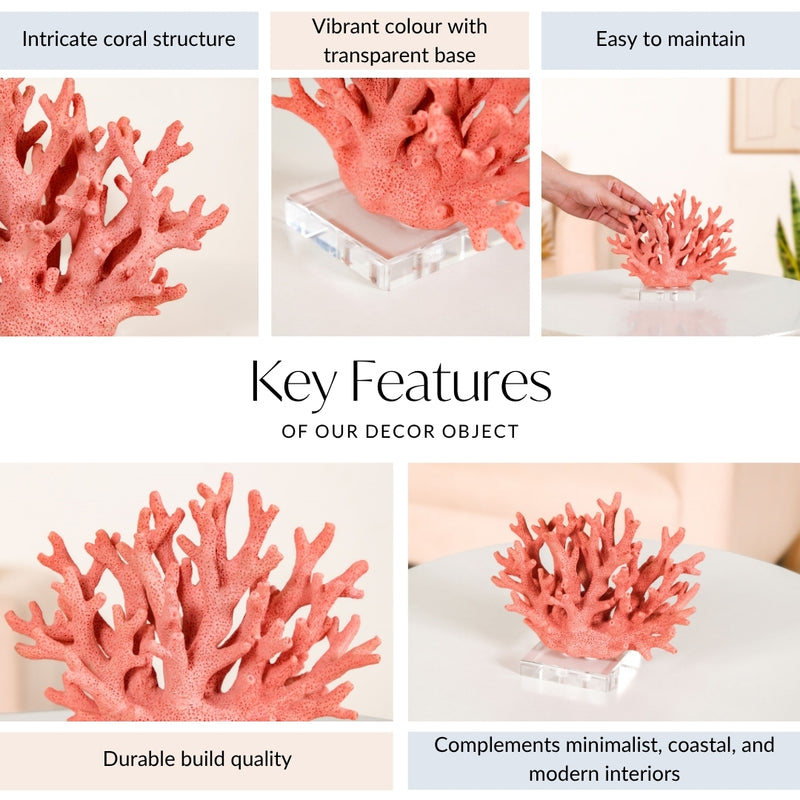 Vibrant Coral Coffee Table Decor