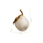 White Pear Home Decor