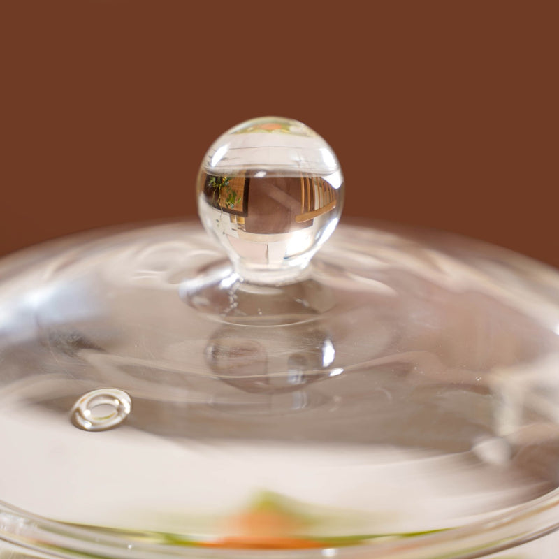 Borosilicate Stovetop Glass Cooking Pot With Lid 1500ml
