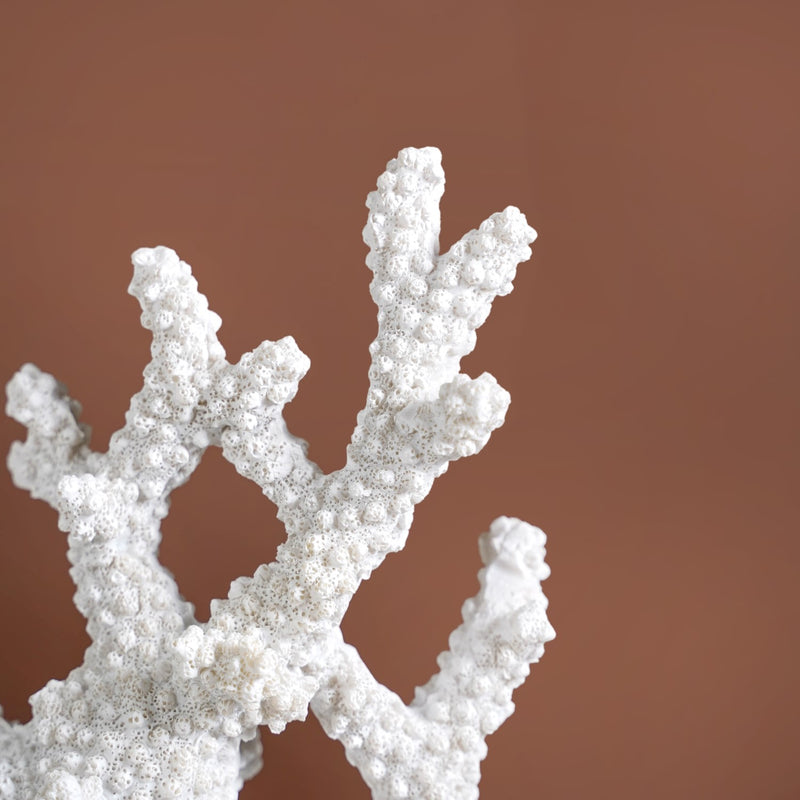 Coral Reef Coffee Table Decor