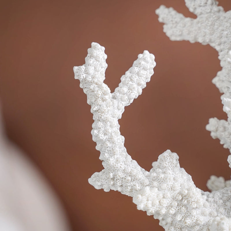 Coral Reef Coffee Table Decor