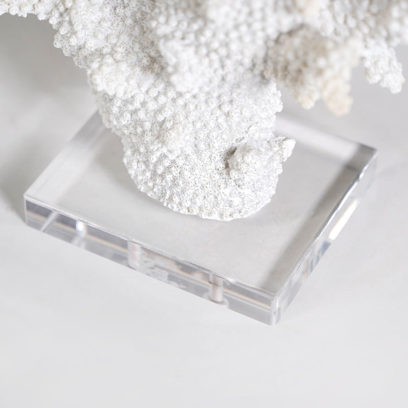 Coral Reef Coffee Table Decor