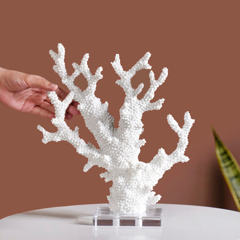 Coral Reef Coffee Table Decor