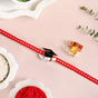 Scholar Diploma Kids Rakhi Set