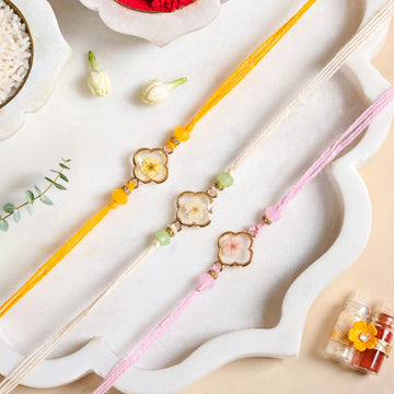 Pressed Petal Trio Rakhi Gift Set