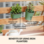 Decorative Hanging Planter For Kids Set Of 4 Green