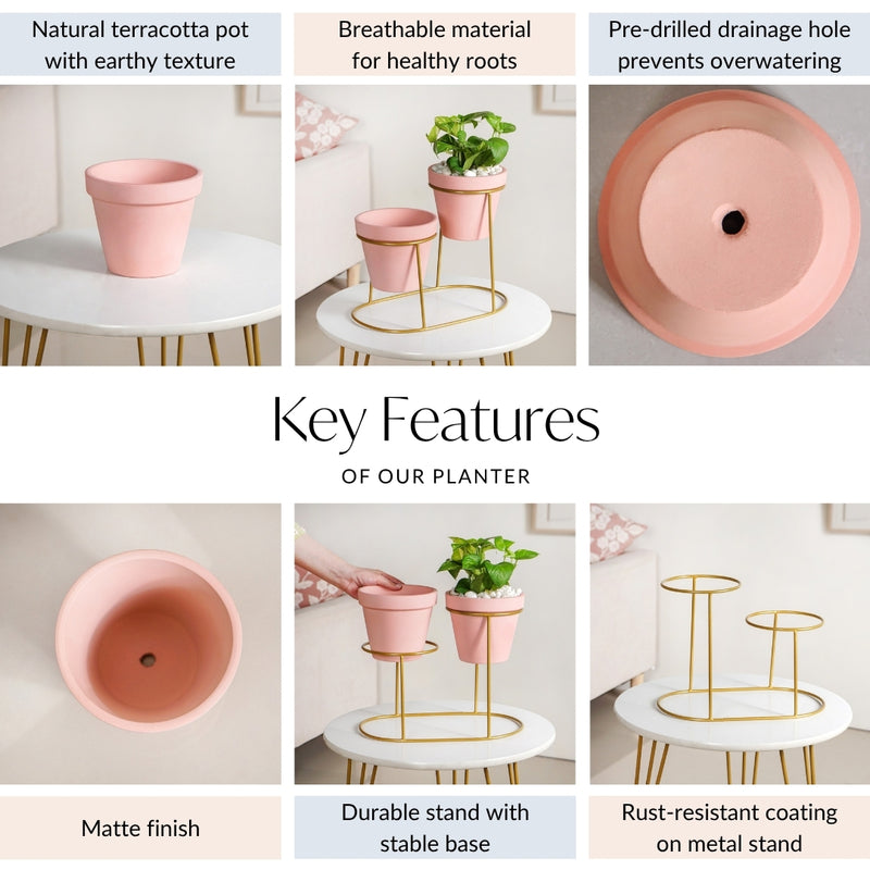 Decorative Two Tier Pink Planters With Gold Stand