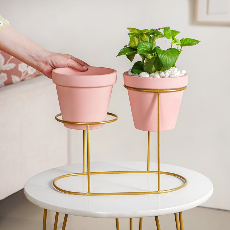Decorative Two Tier Pink Planters With Gold Stand