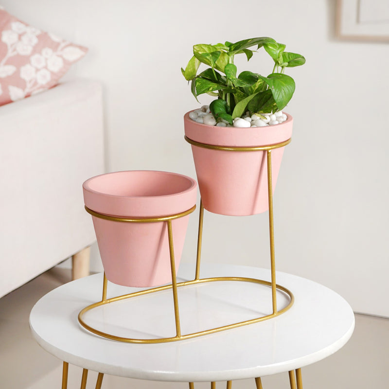 Decorative Two Tier Pink Planters With Gold Stand