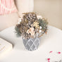 Frosty Pine Cones Dried Flower Pot