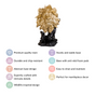 Regal Lion Decor Showpiece Gold