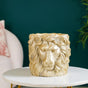 Majestic Lion Mane Resin Pot For Room Decor