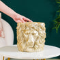 Majestic Lion Mane Resin Pot For Room Decor