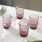 Embossed Crystal Drinkware Set of 4