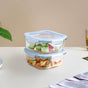 Airtight Glass Lunch Box Set Of 2 800ml