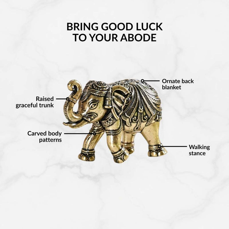 Good Luck Elephant Idol Pure Brass Set With Gift Box Of 23cm