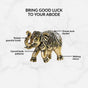 Good Luck Elephant Idol Pure Brass Set With Gift Box Of 23cm