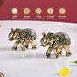 Good Luck Elephant Idol Pure Brass Set With Gift Box Of 23cm