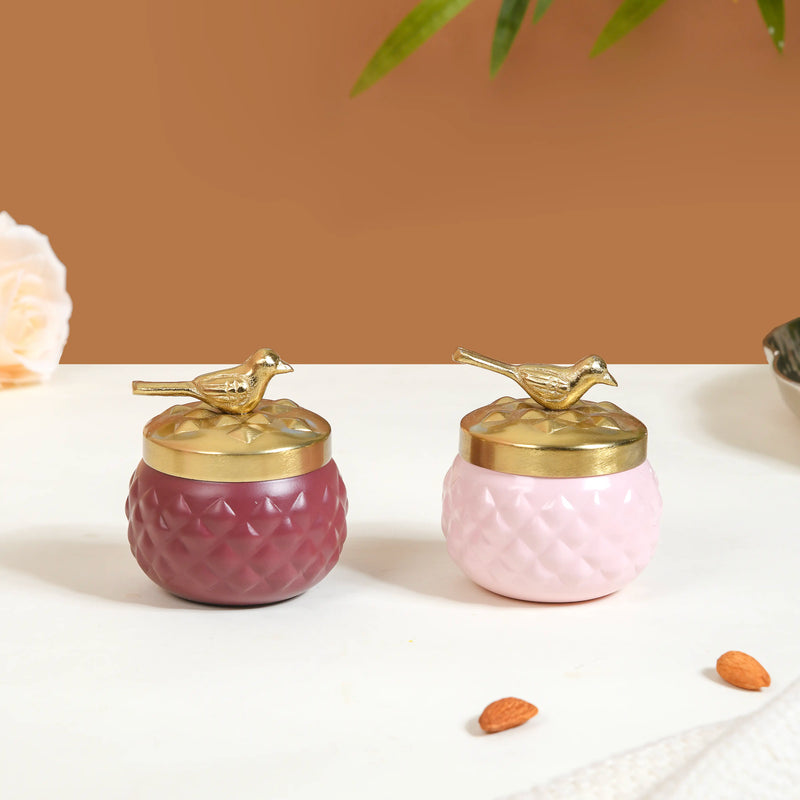 Festive Jar Dry Fruits Gift Hamper Set of 4