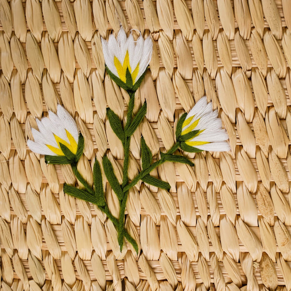 Handwoven Natural Kauna Grass Table Mat Set Of 2