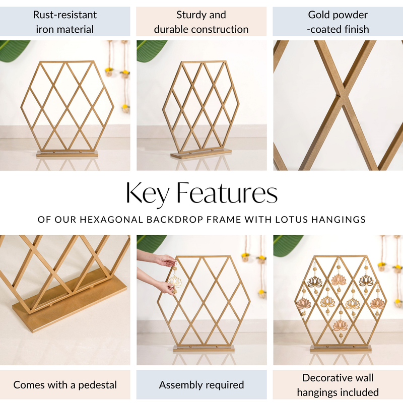 Hexagonal Puja Backdrop Metal Frame With Lotus Hangings