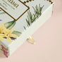 Jasmine Fragrant Incense Cones Pack Of 40