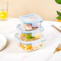 Airtight Glass Lunch Box Set Of 3