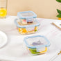 Airtight Glass Lunch Box Set Of 3