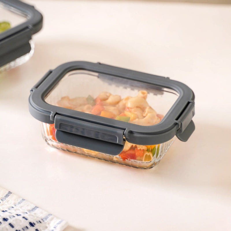 Borosilicate Lunch Box Set Of 2 370ml